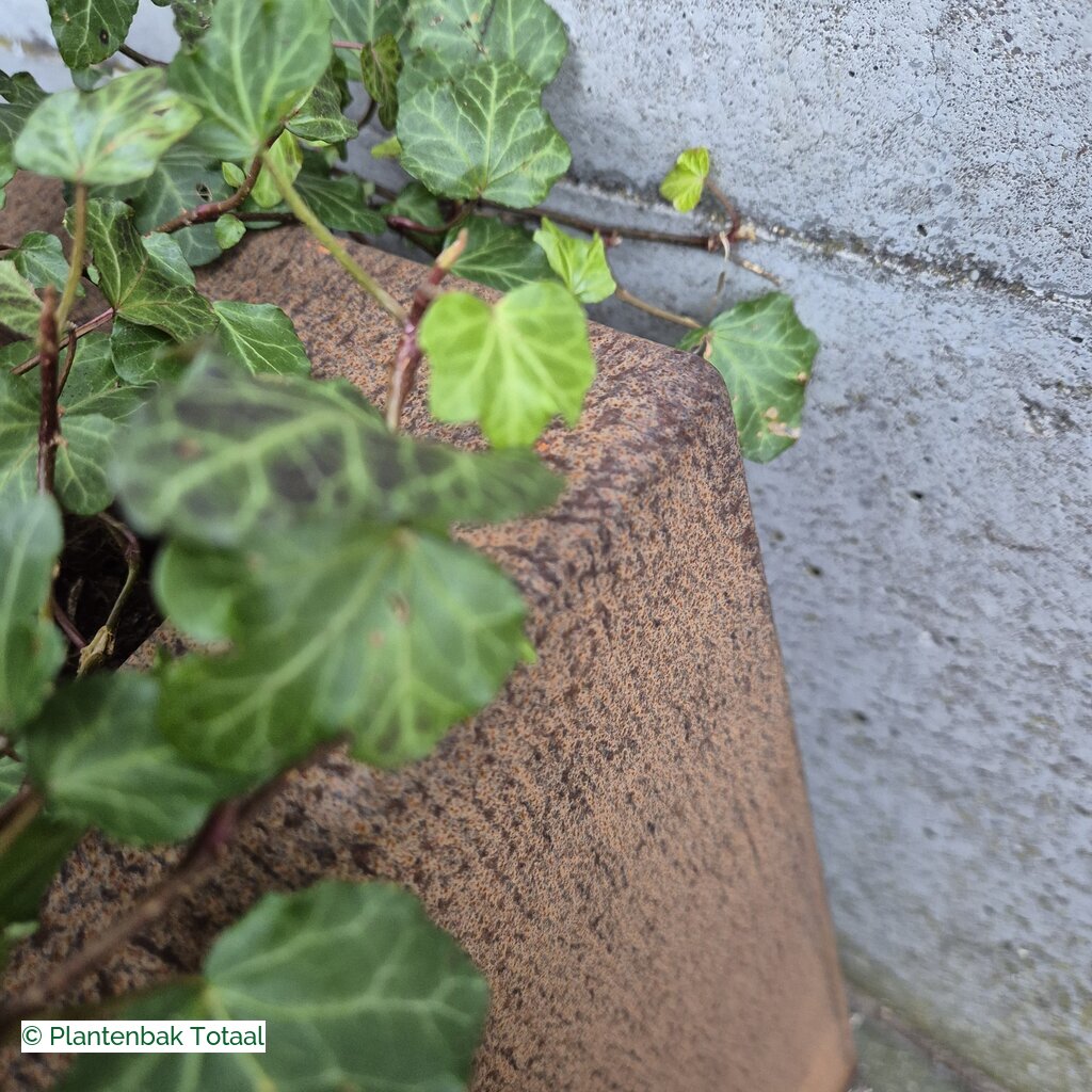 productlijn foto van plantenbak CS Carrez vierkant