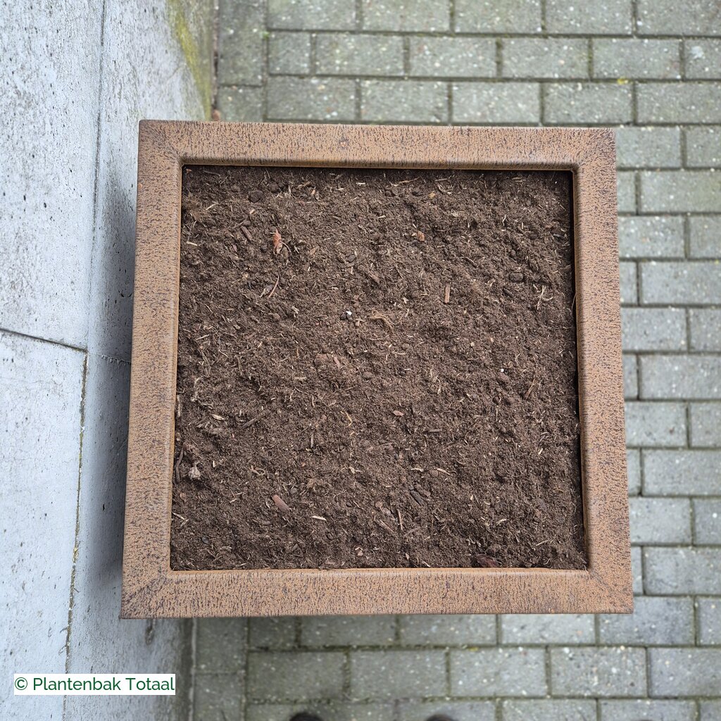 productlijn foto van plantenbak CS Carrez vierkant