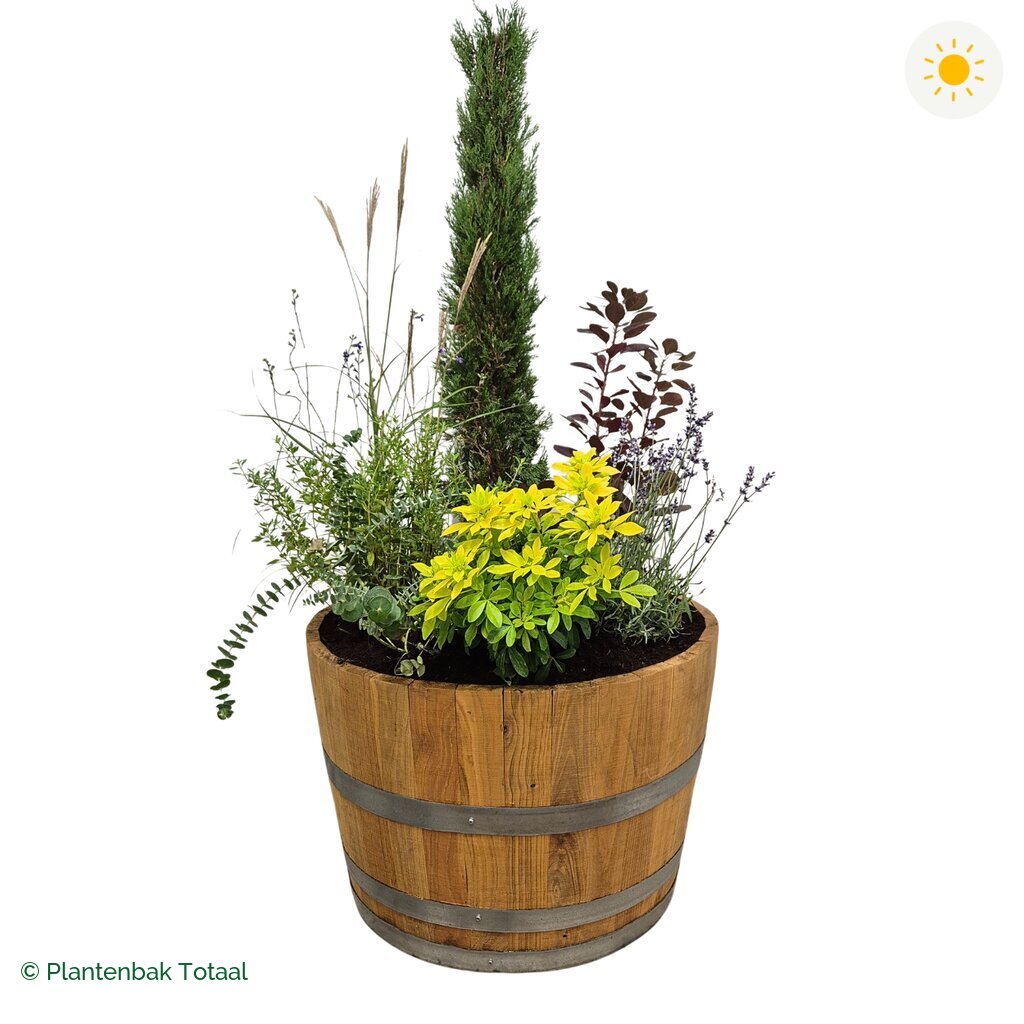 productfoto van plantenbak Eikenhout Half Wijnvat Set Toscane