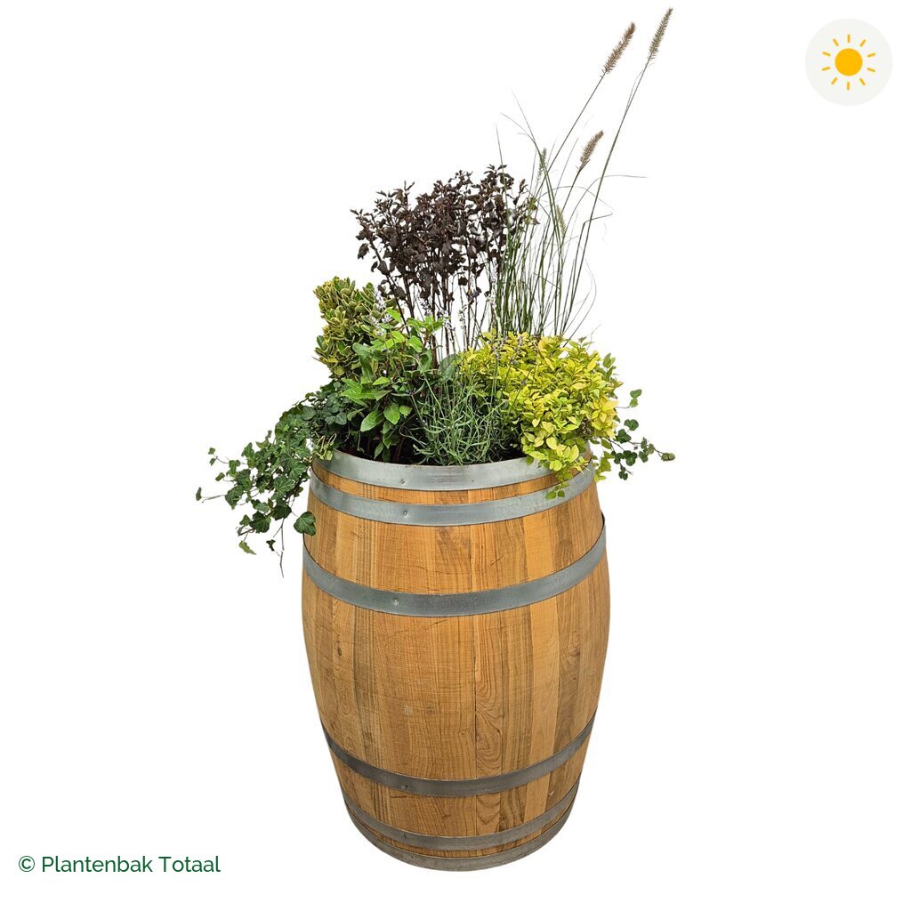 productfoto van plantenbak Eikenhout Wijnvat Set Provence