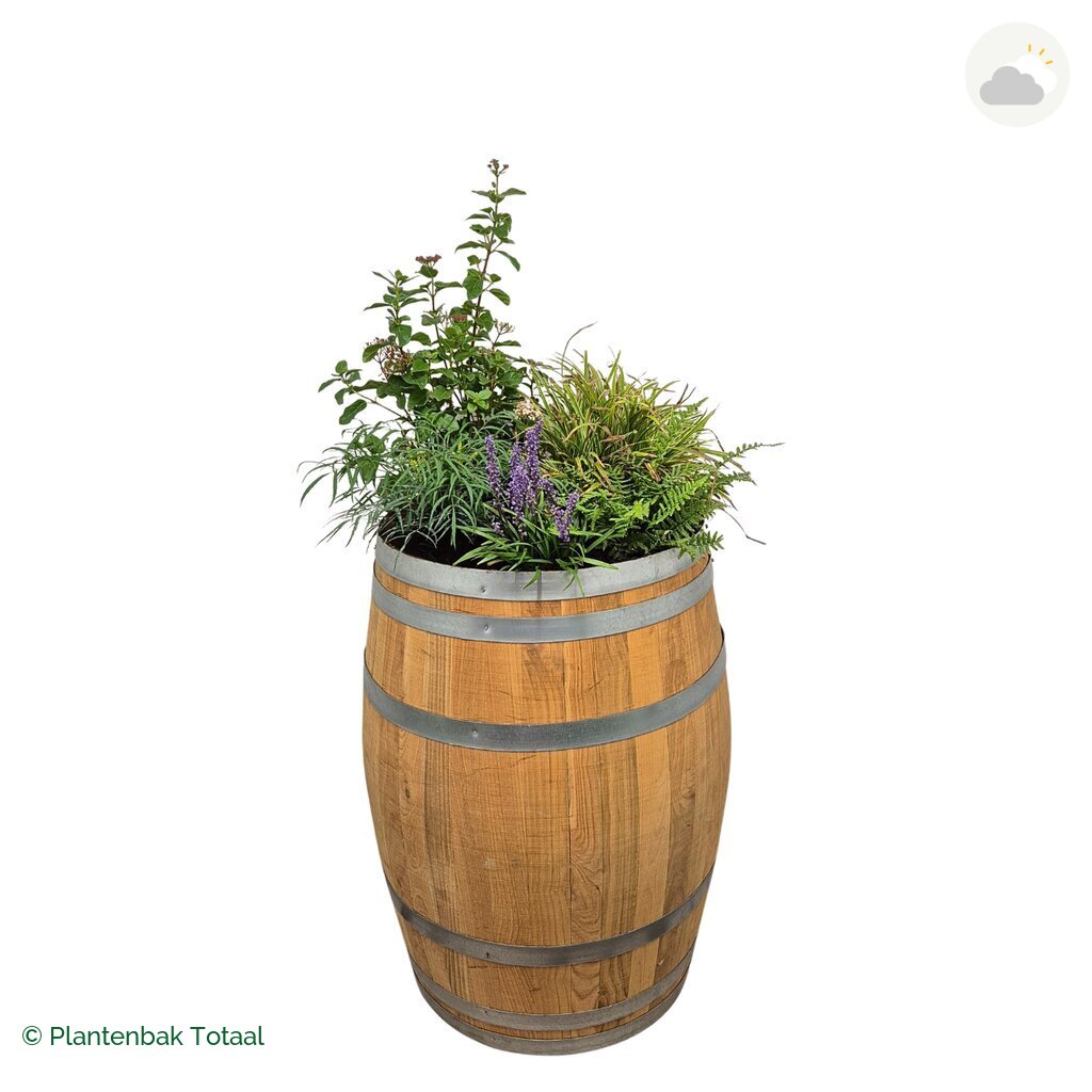 productfoto van plantenbak Eikenhout Wijnvat Set York