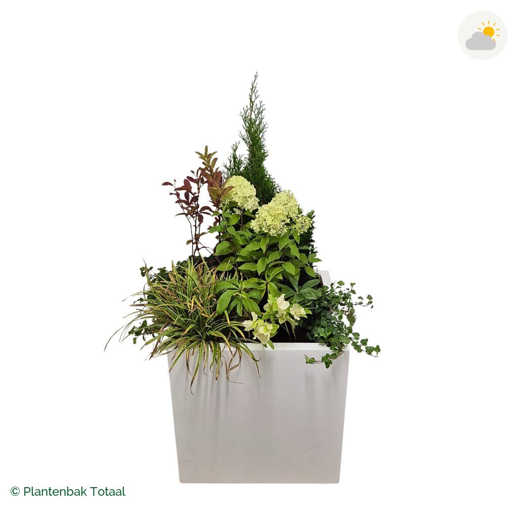 productfoto van plantenbak Fiberstone Block Hoogglans Wit Set Ardennen