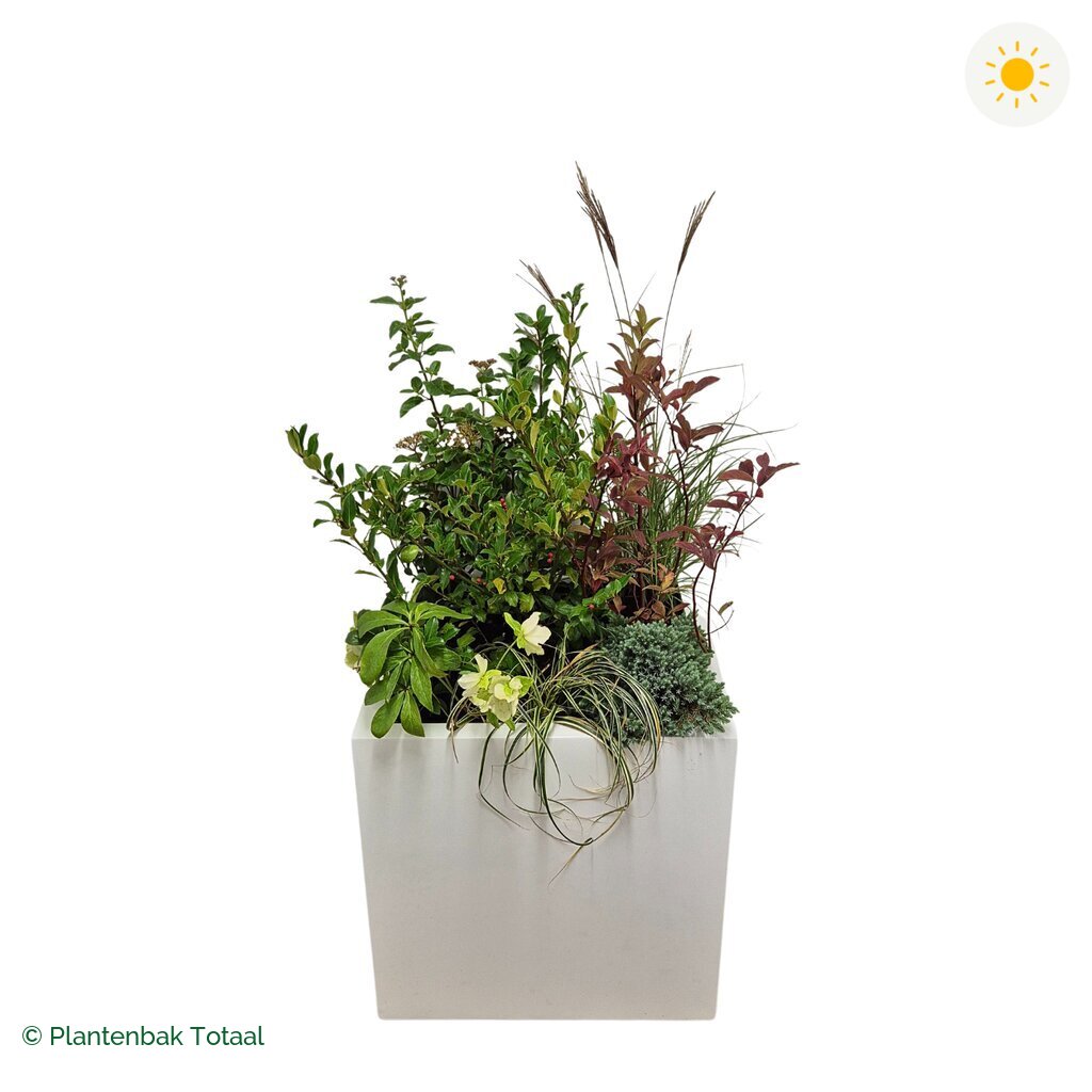 productfoto van plantenbak Fiberstone Block Hoogglans Wit Set Bretagne
