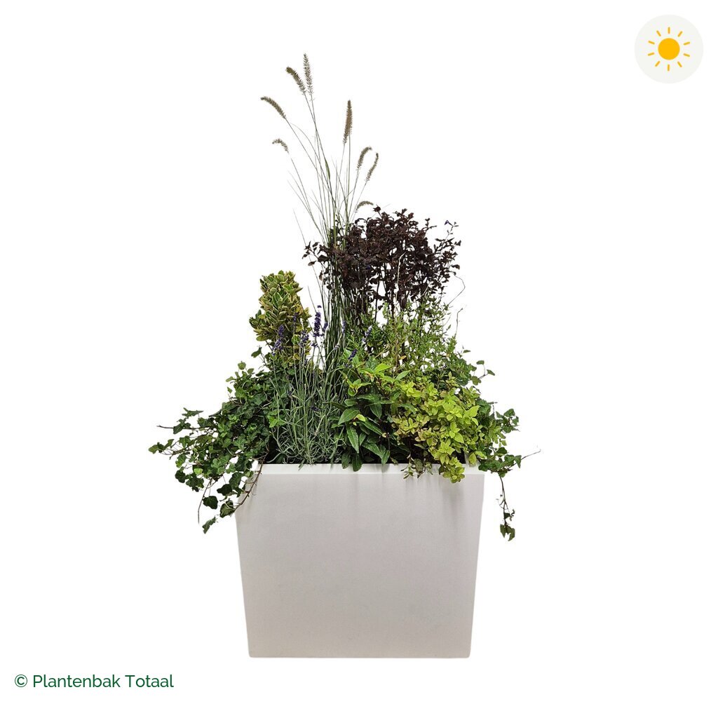 productfoto van plantenbak Fiberstone Block Hoogglans Wit Set Provence