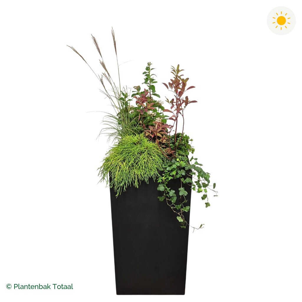 productfoto van plantenbak Fiberstone Bouvy XL Set Bretagne