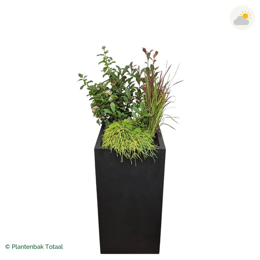 productfoto van plantenbak Fiberstone Bouvy XL Set Eifel