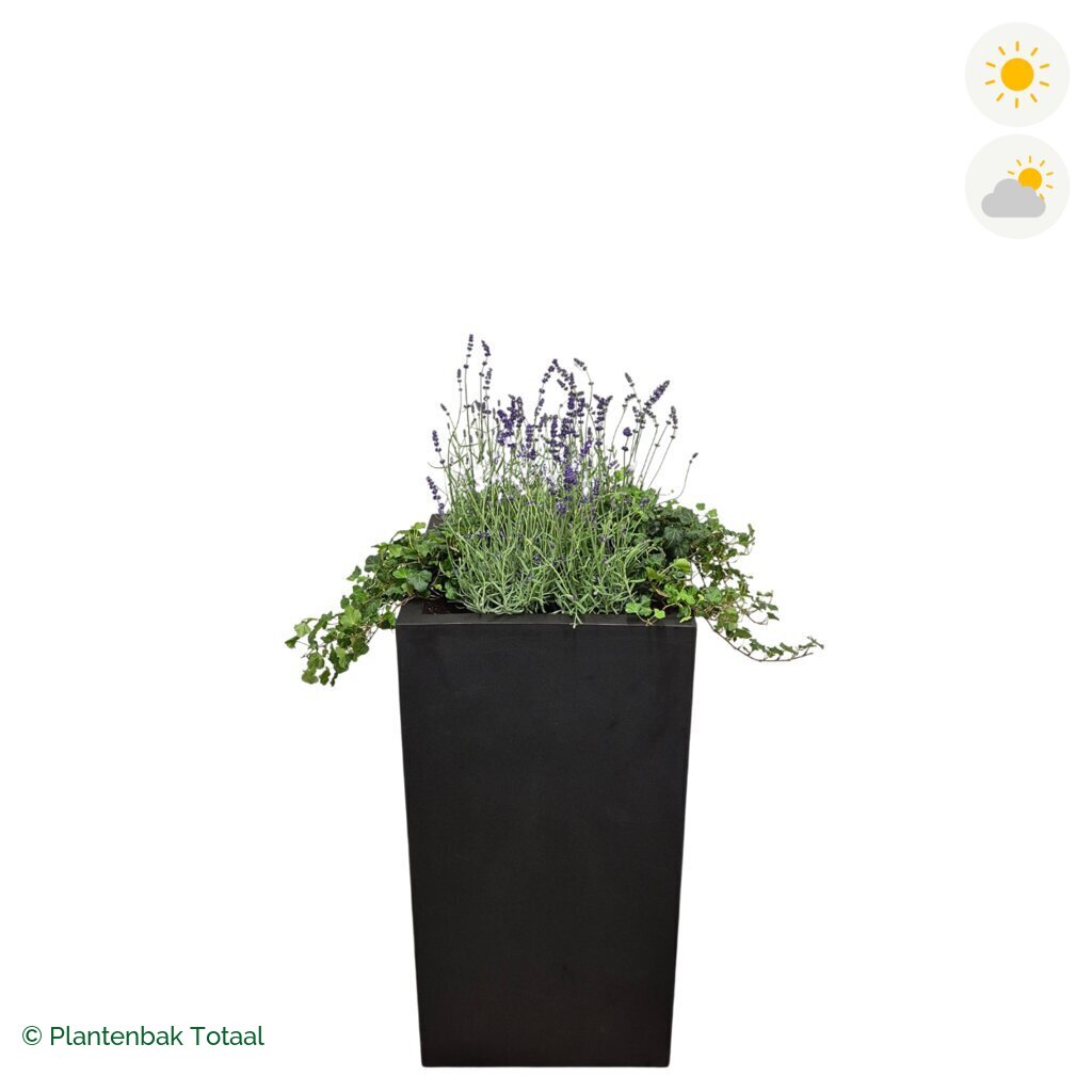 productfoto van plantenbak Fiberstone Bouvy XL Lavendel Combinatie