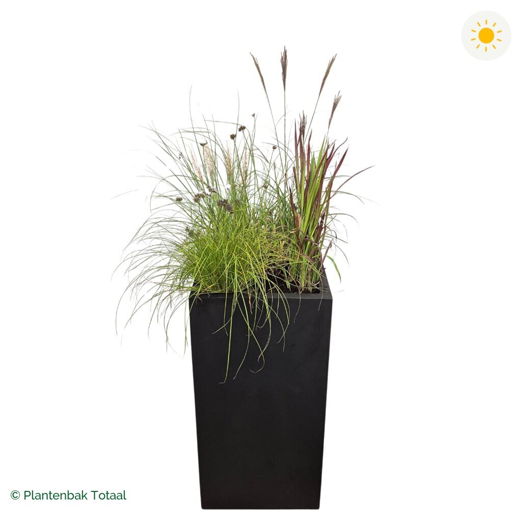 productfoto van plantenbak Fiberstone Bouvy XL Set Savanne
