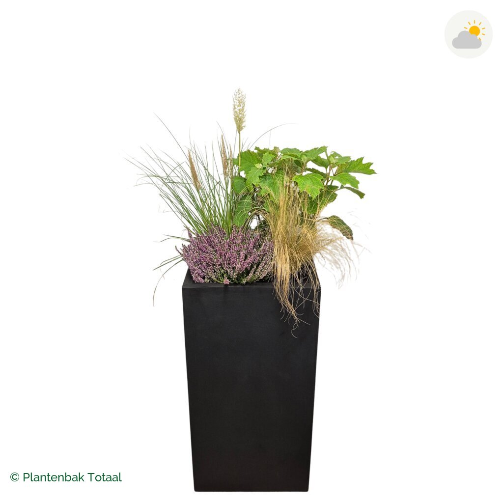 productfoto van plantenbak Fiberstone Bouvy XL Set Veluwe
