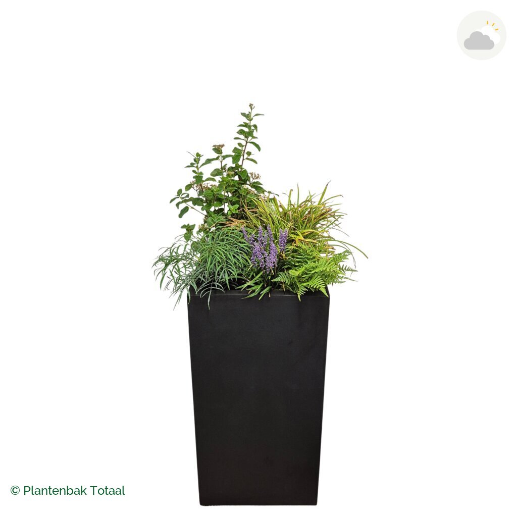 productfoto van plantenbak Fiberstone Bouvy XL Set York
