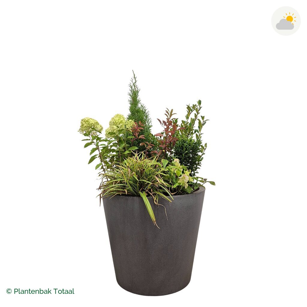 productfoto van plantenbak Fiberstone Bucket Set Ardennen
