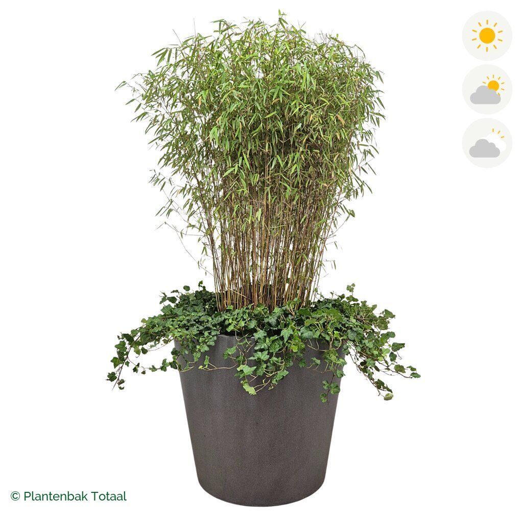 productfoto van plantenbak Fiberstone Bucket Bamboe Combinatie