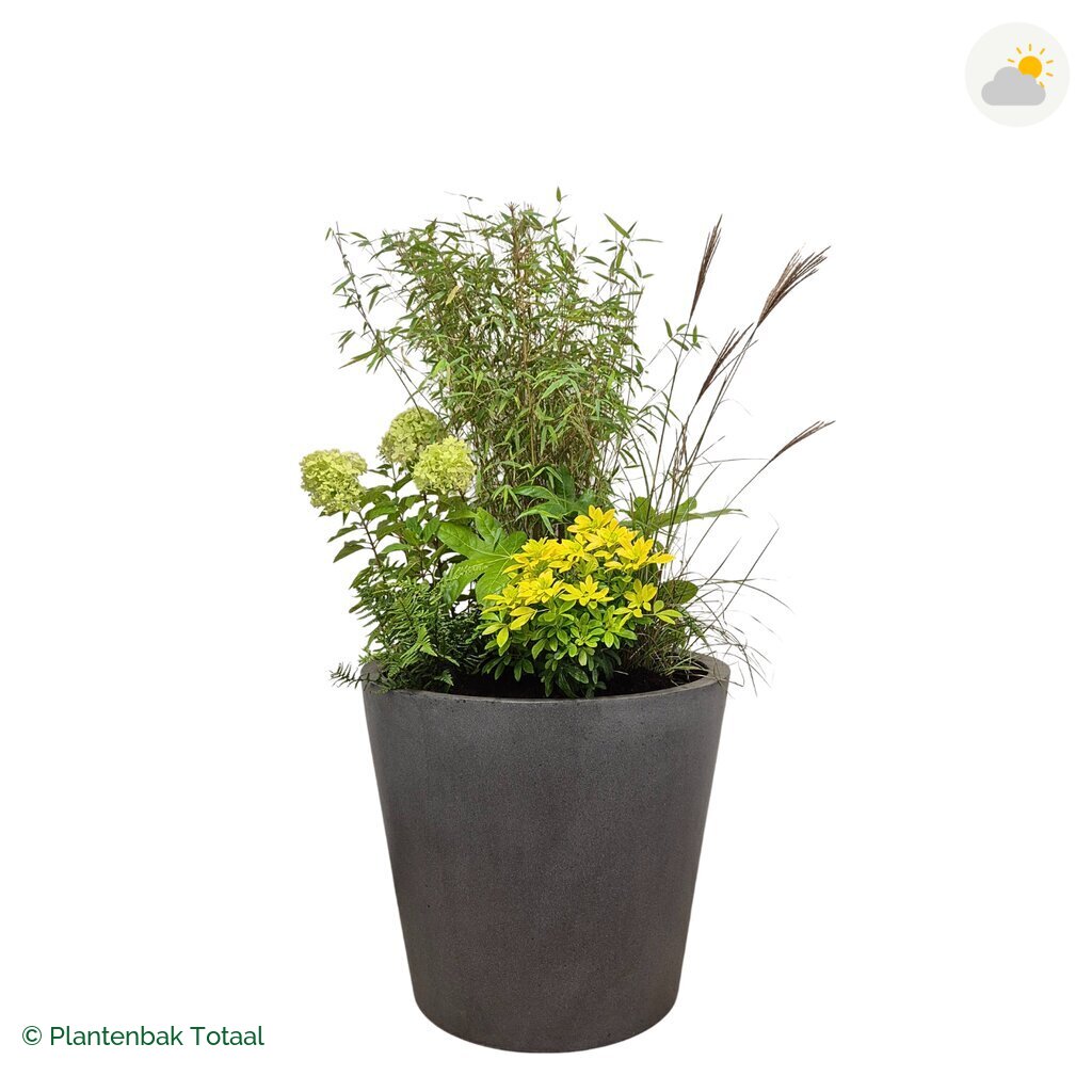 productfoto van plantenbak Fiberstone Bucket Set Bohemen