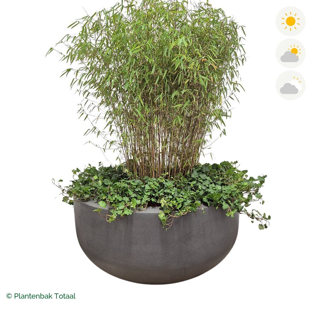 productfoto van plantenbak Fiberstone City Bowl Bamboe Combinatie