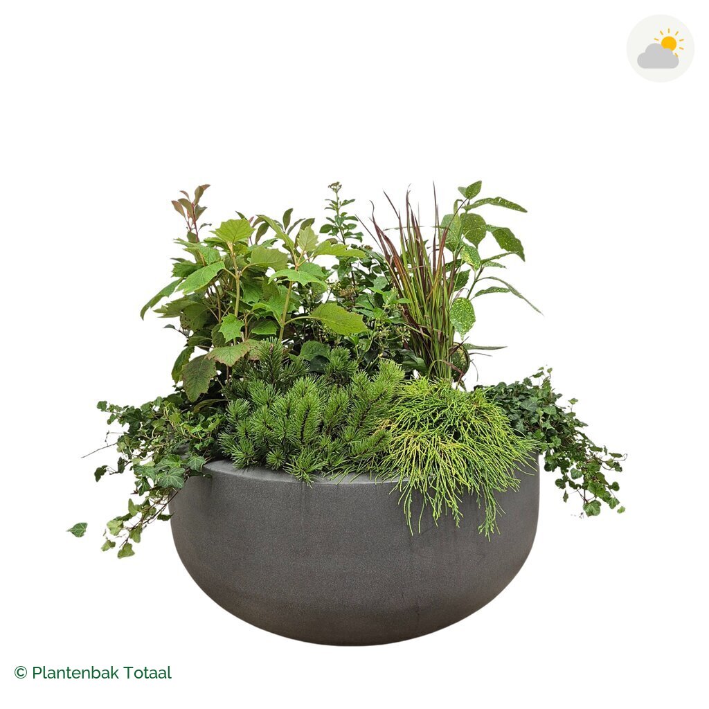 productfoto van plantenbak Fiberstone City Bowl Set Eifel