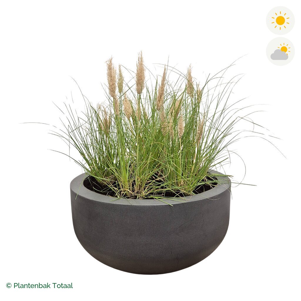 productfoto van plantenbak Fiberstone City Bowl Pampasgras