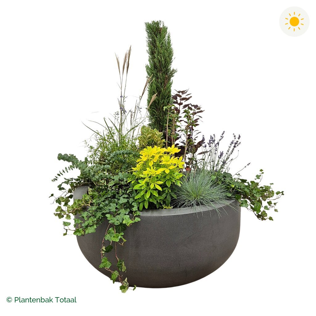 productfoto van plantenbak Fiberstone City Bowl Set Toscane