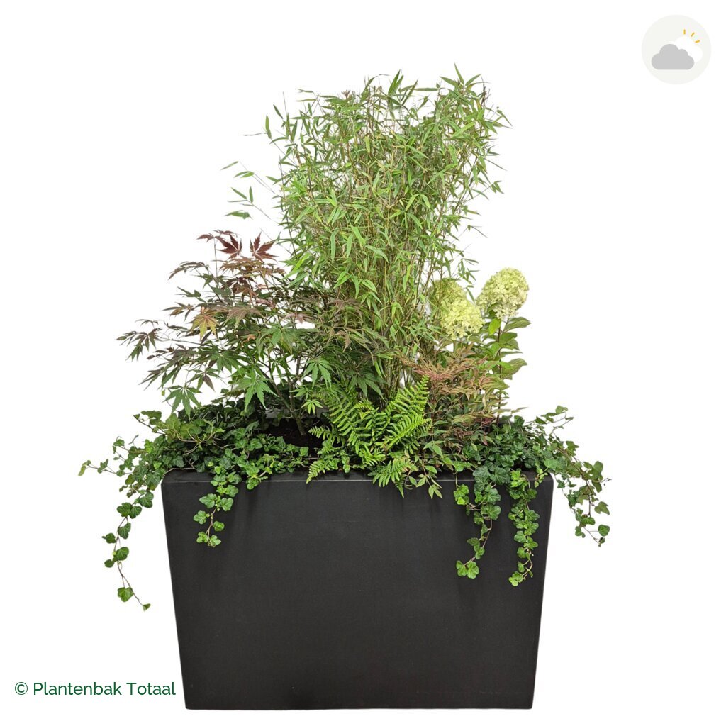 productfoto van plantenbak Fiberstone Jort Set Himalaya