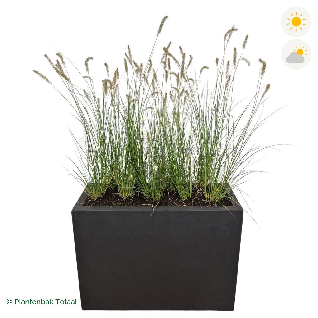 productfoto van plantenbak Fiberstone Jort Lampenpoetsersgras