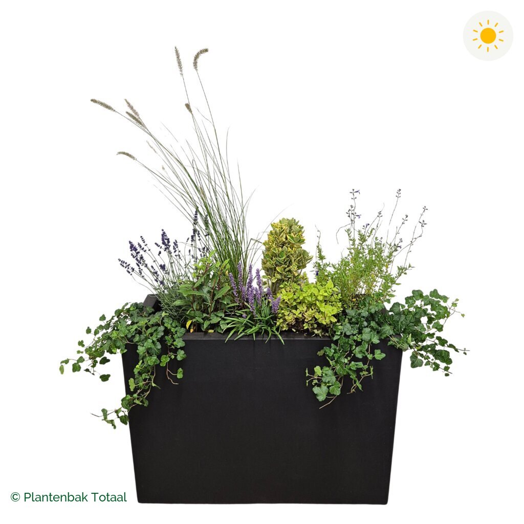 productfoto van plantenbak Fiberstone Jort Set Provence