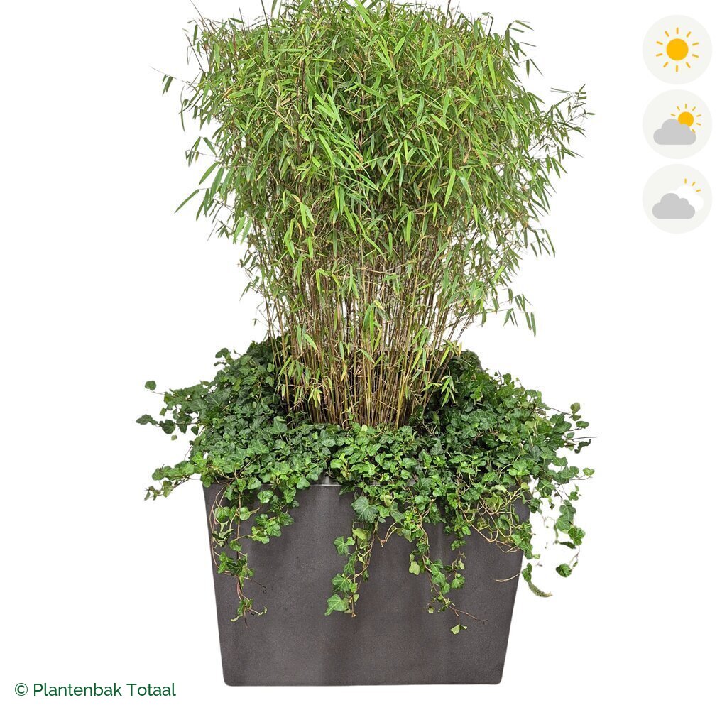 productfoto van plantenbak Fiberstone Jumbo Block Vierkant Bamboe Combinatie