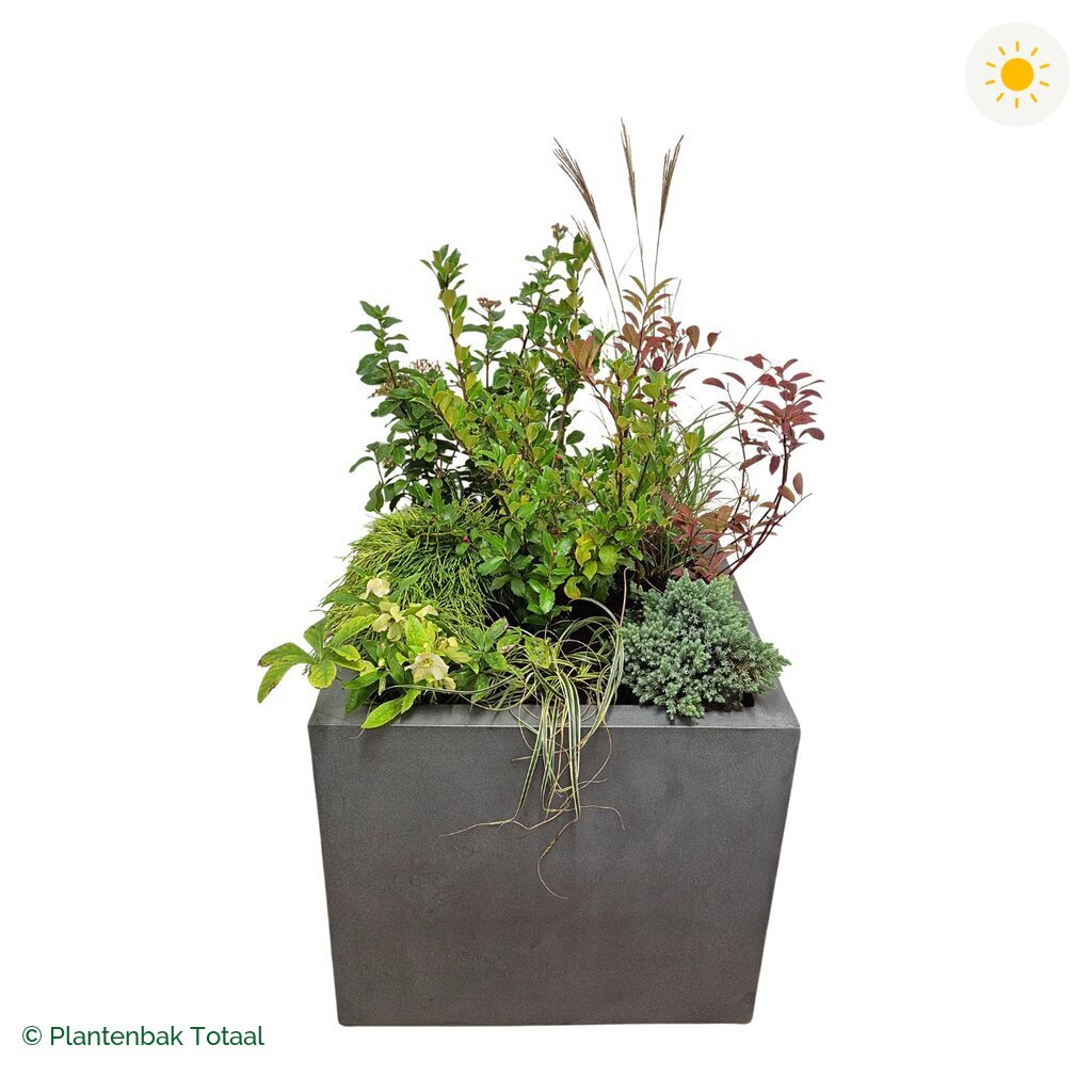 productfoto van plantenbak Fiberstone Jumbo Block Vierkant Set Bretagne