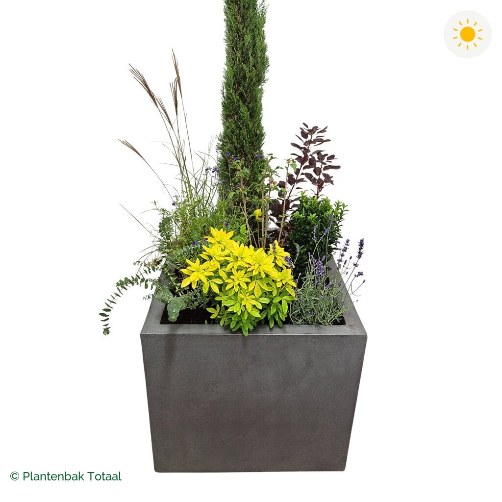 productfoto van plantenbak Fiberstone Jumbo Block Vierkant Set Toscane