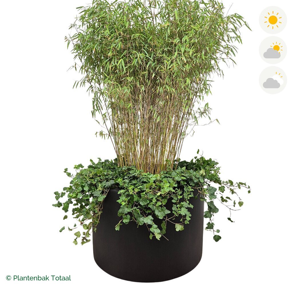 productfoto van plantenbak Fiberstone Jumbo Max Rond Bamboe Combinatie
