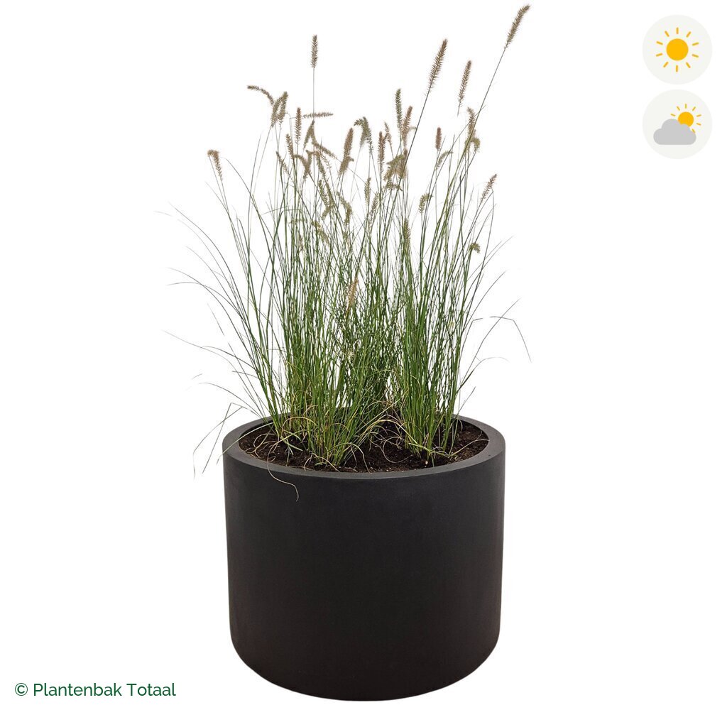 productfoto van plantenbak Fiberstone Jumbo Max Rond Lampenpoetsersgras