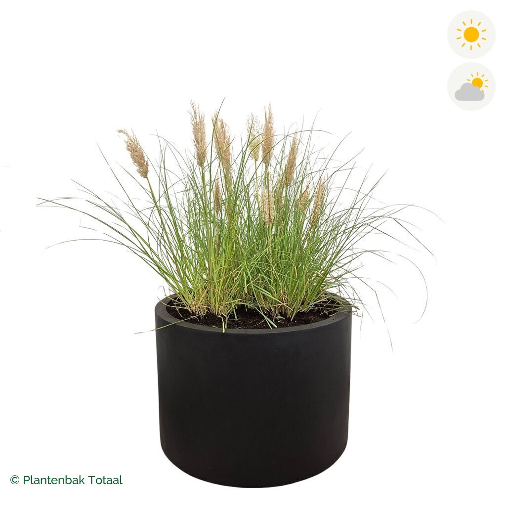 productfoto van plantenbak Fiberstone Jumbo Max Rond Pampasgras