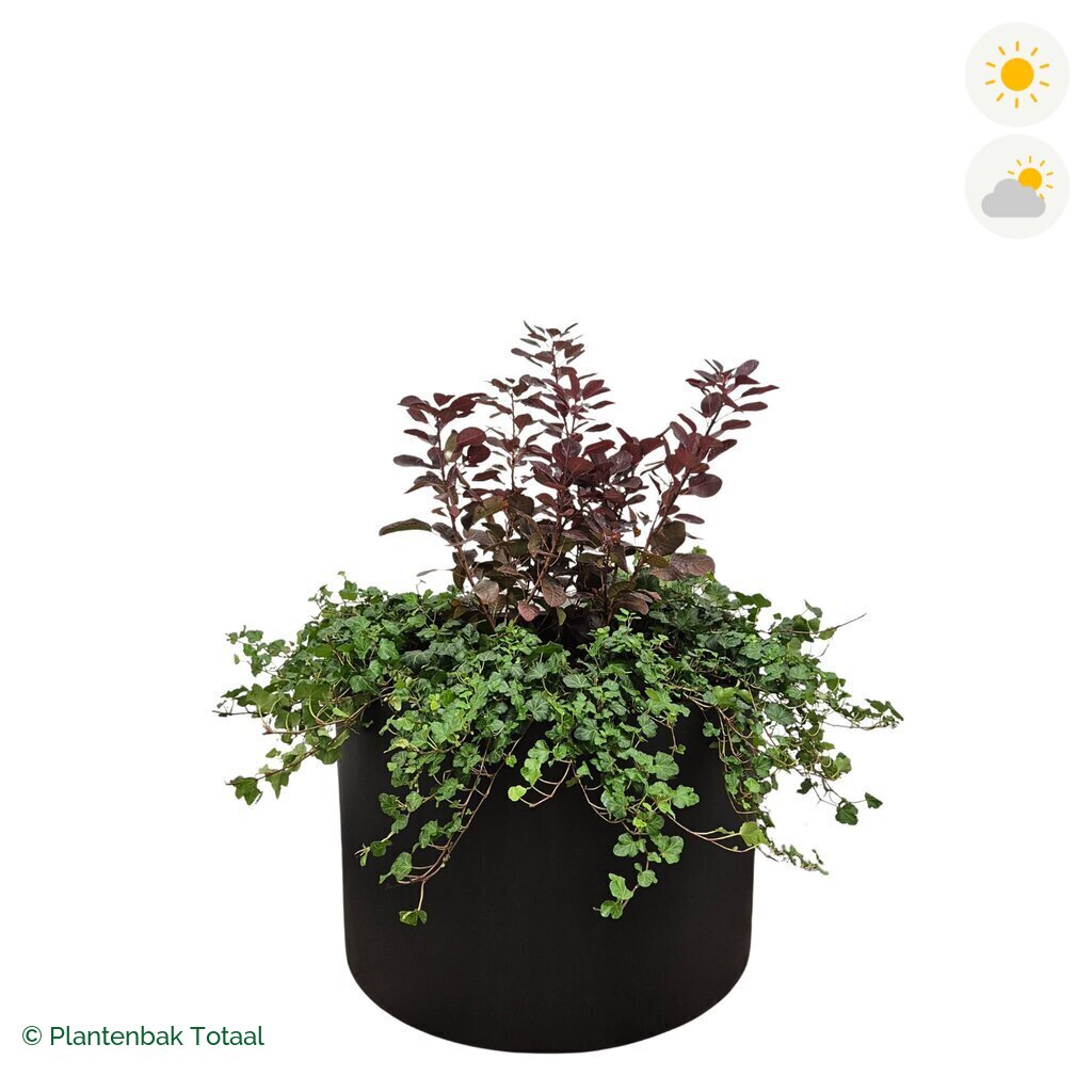 productfoto van plantenbak Fiberstone Jumbo Max Rond Pruikenboom Combinatie