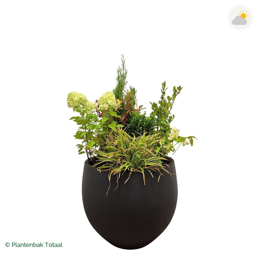 productfoto van plantenbak Fiberstone Orb Set Ardennen
