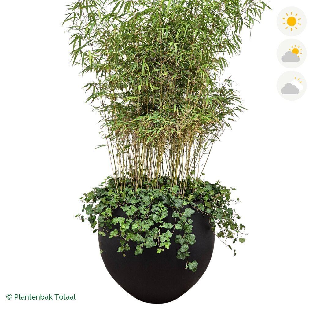 productfoto van plantenbak Fiberstone Orb Bamboe Combinatie
