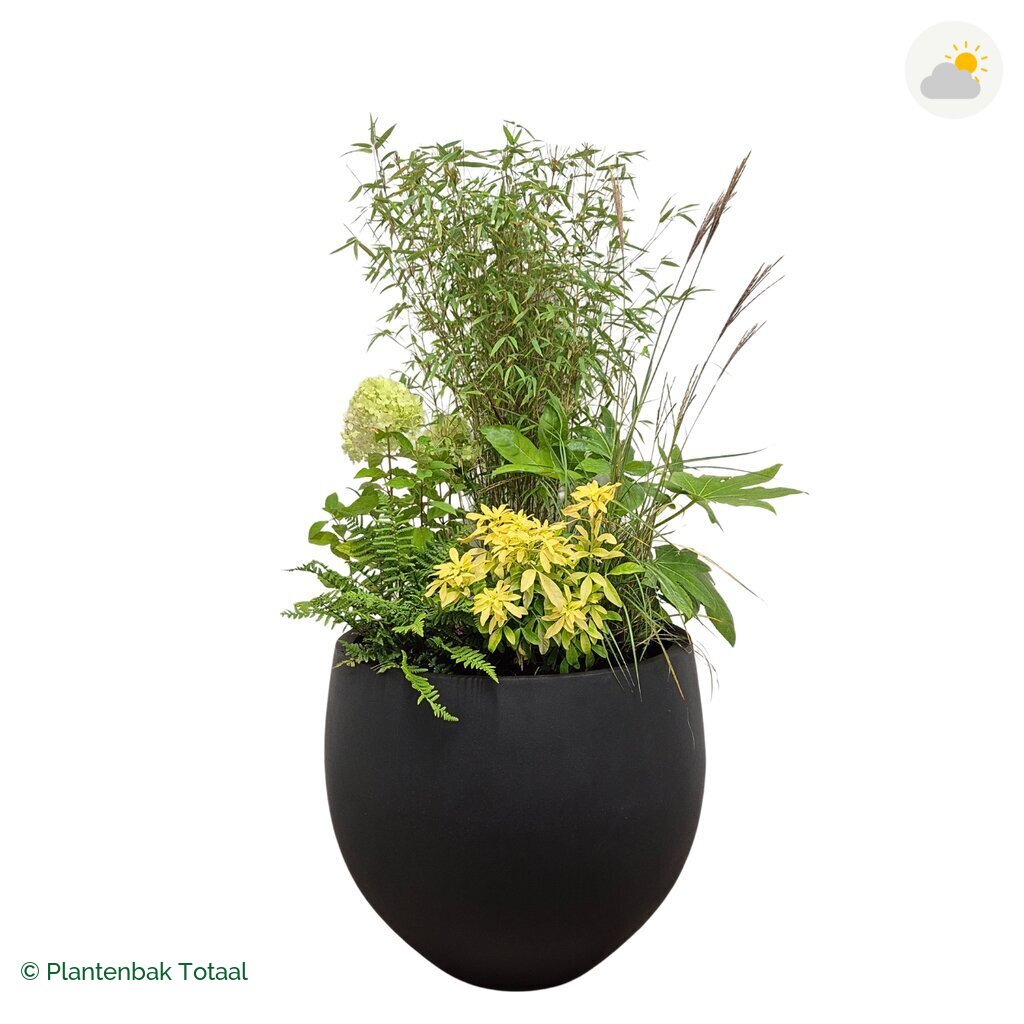 productfoto van plantenbak Fiberstone Orb Set Bohemen