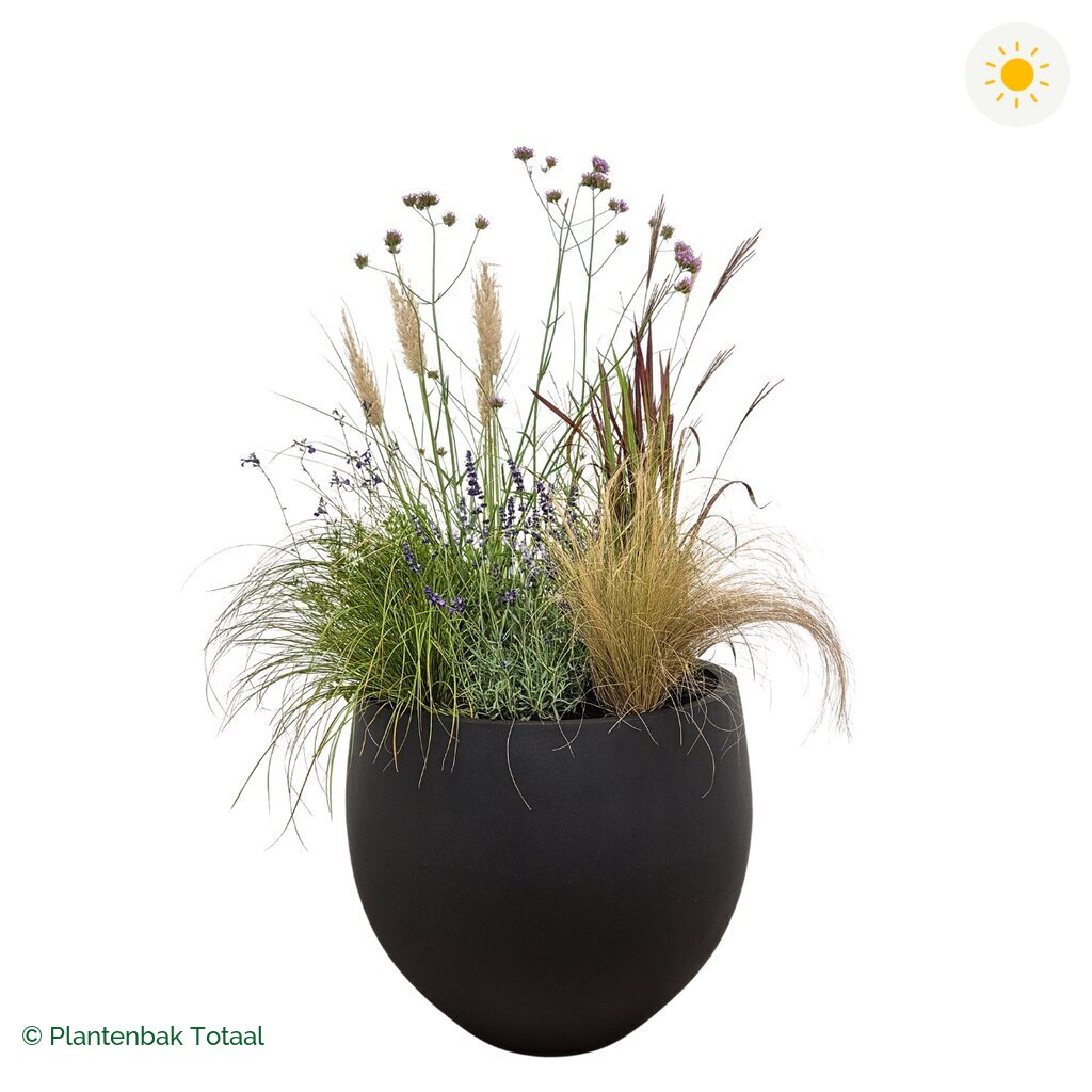 productfoto van plantenbak Fiberstone Orb Set Savanne