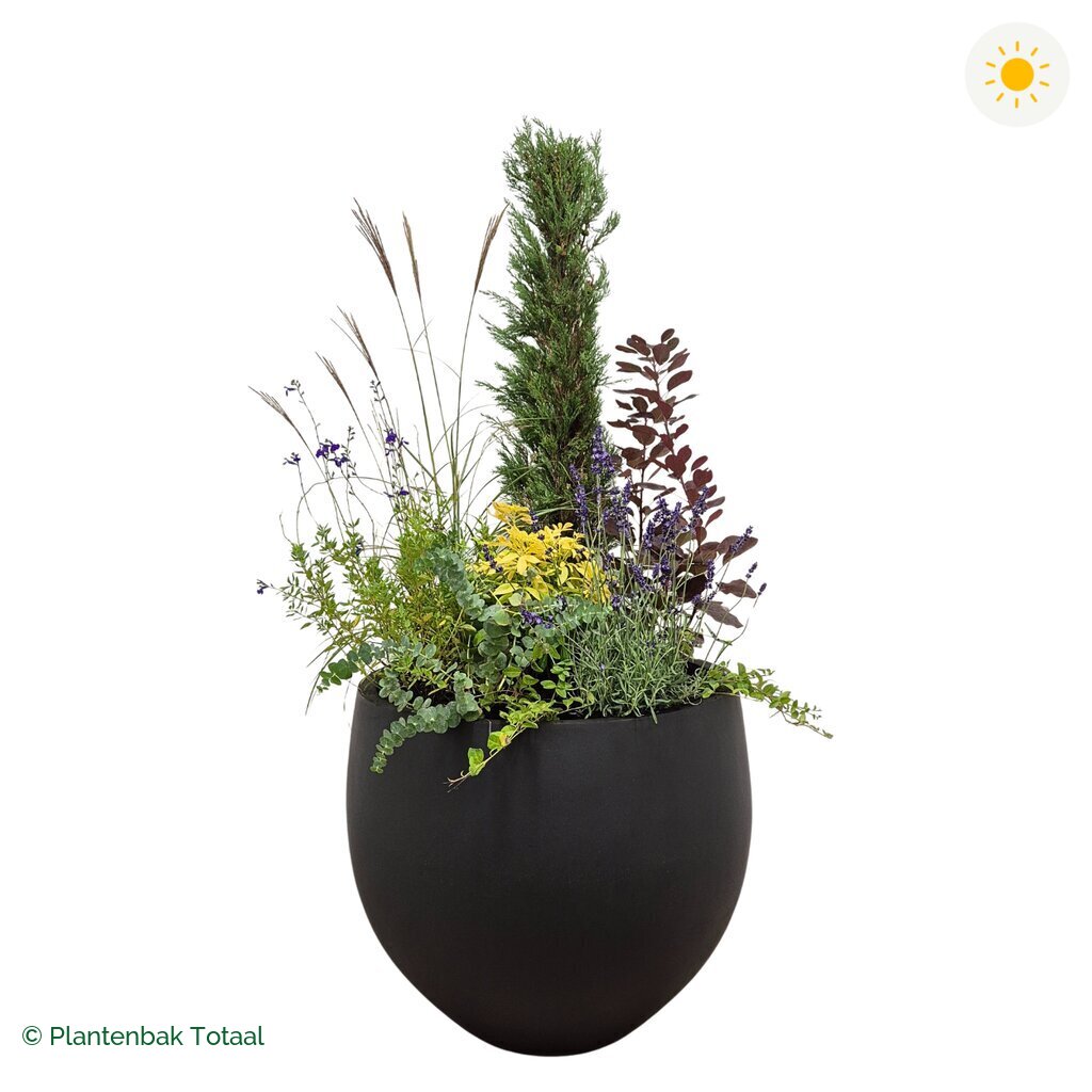 productfoto van plantenbak Fiberstone Orb Set Toscane