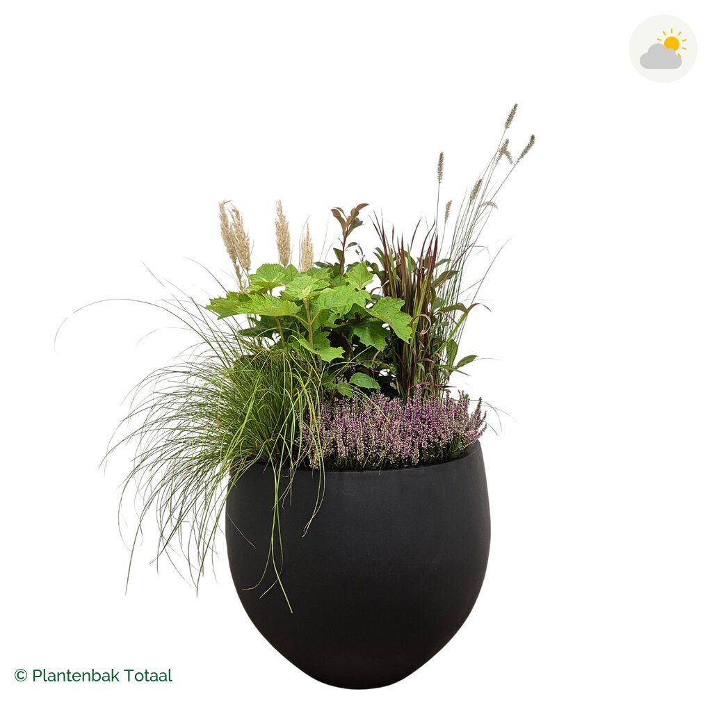 productfoto van plantenbak Fiberstone Orb Set Veluwe