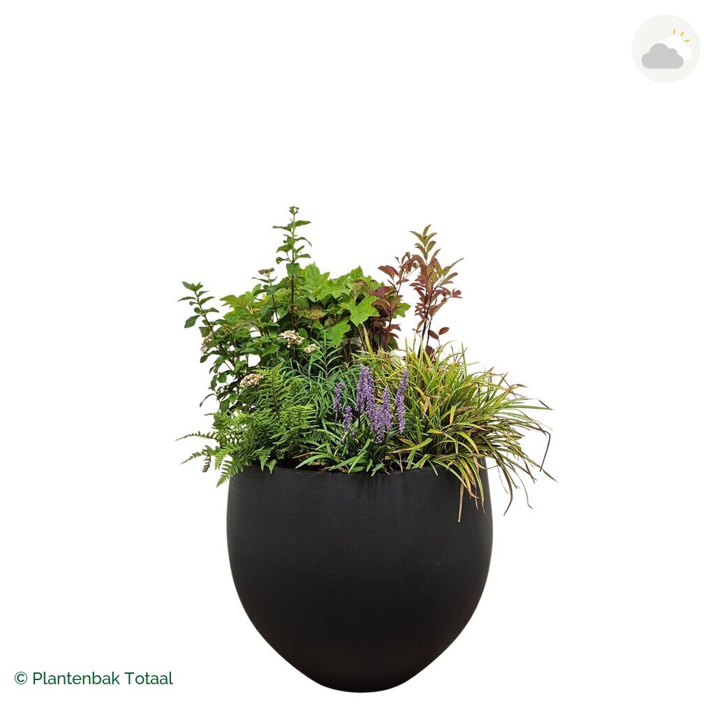 productfoto van plantenbak Fiberstone Orb Set York