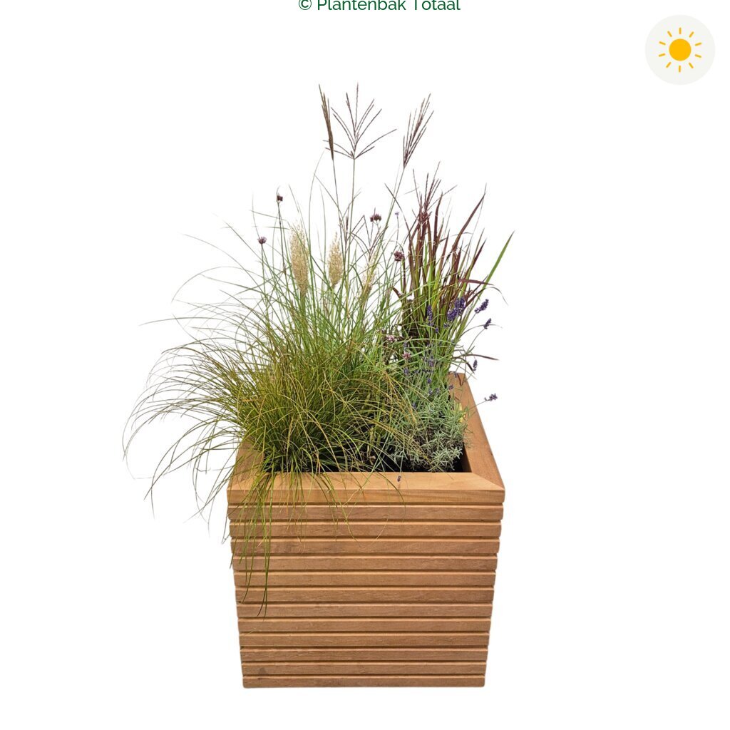 productfoto van plantenbak Hardhout Malaga Set Savanne