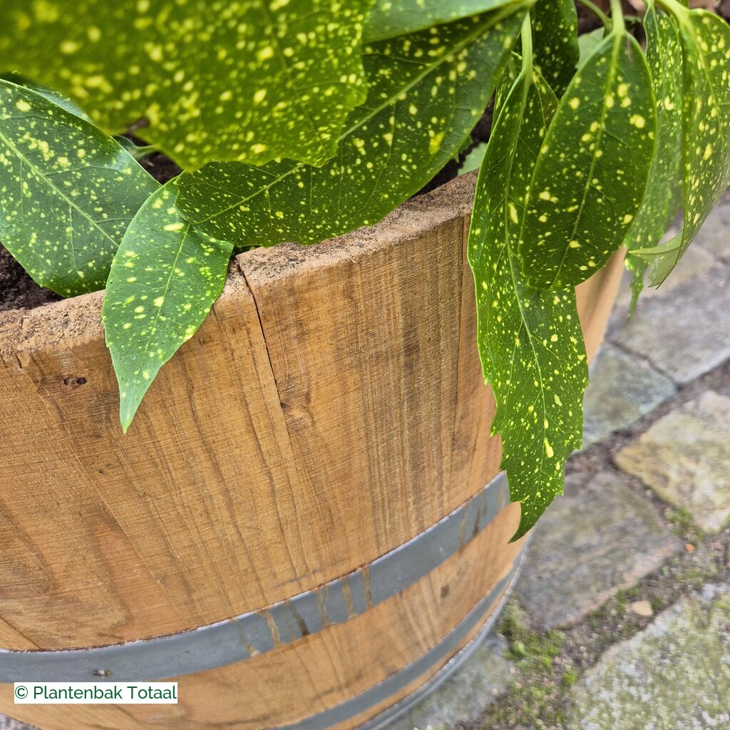 productlijn foto van plantenbak EH Half Wijnvat rond
