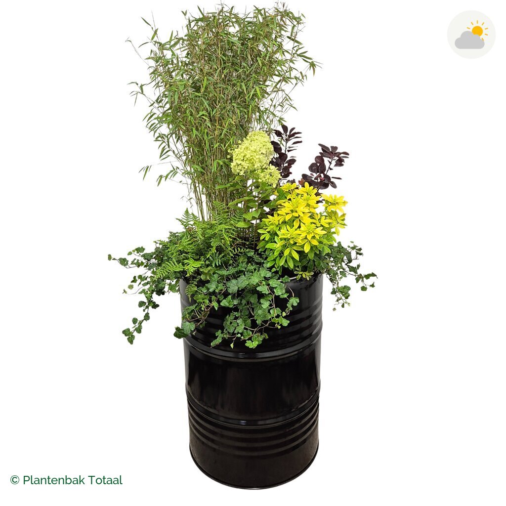 productfoto van plantenbak Metalen Olievat Set Bohemen