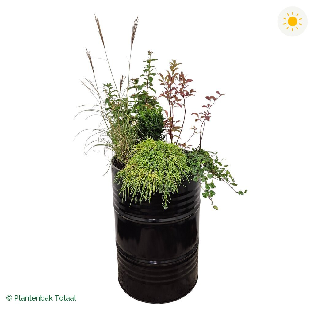 productfoto van plantenbak Metalen Olievat Set Bretagne