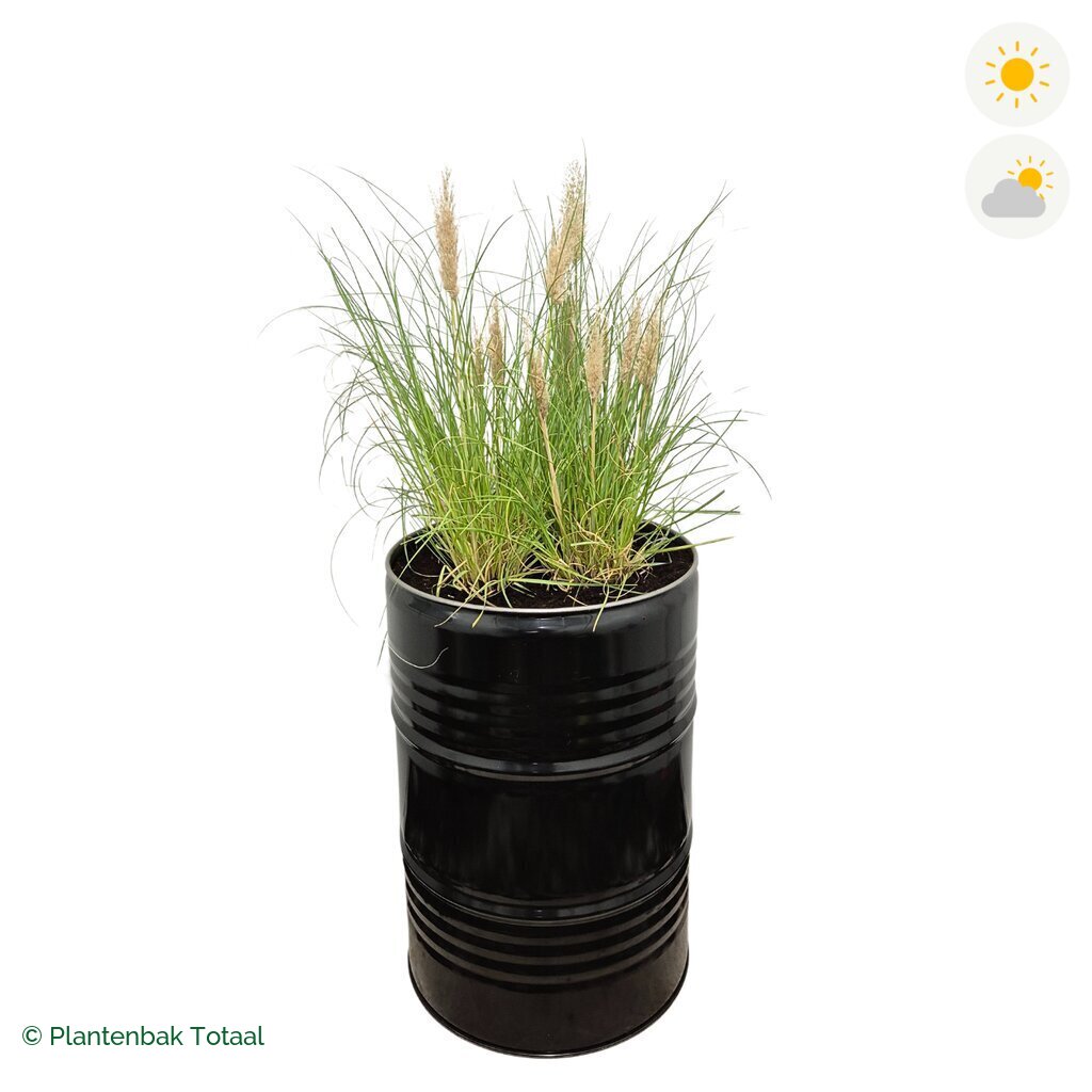 productfoto van plantenbak Metalen Olievat Pampasgras