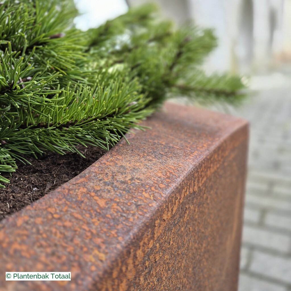 productlijn foto van plantenbak CS Nooa vierkant