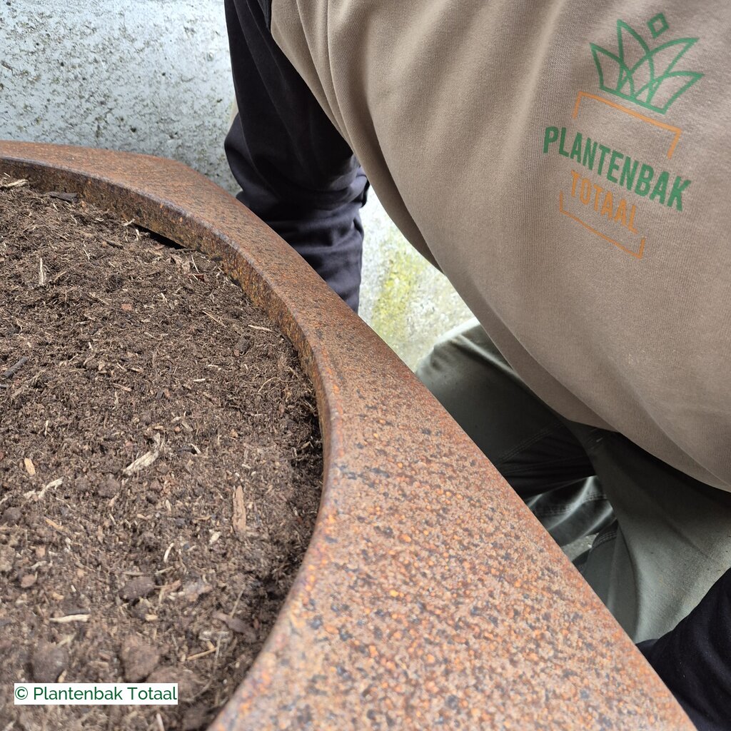 productlijn foto van plantenbak CS Nooa vierkant