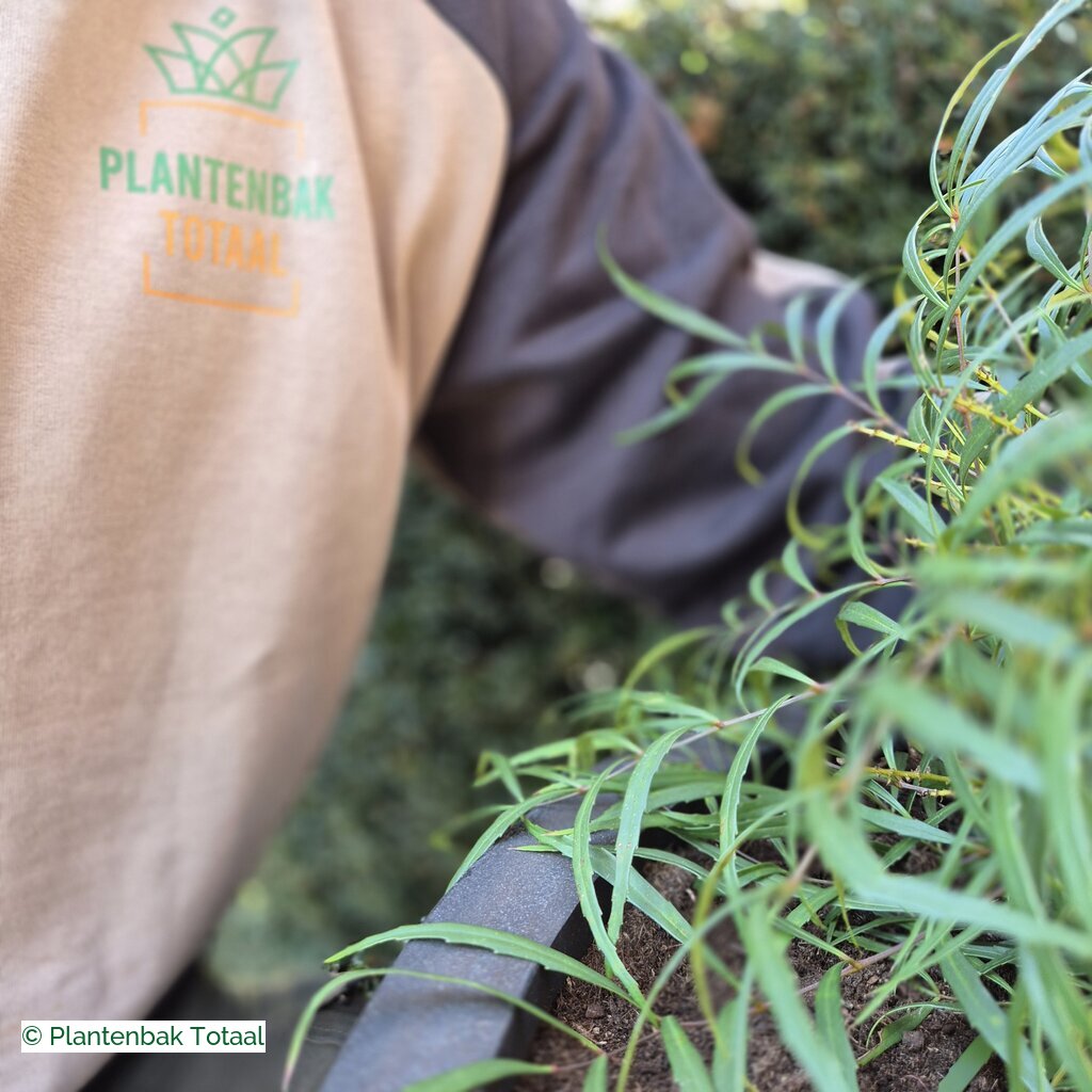 productlijn foto van plantenbak FF Orb rond