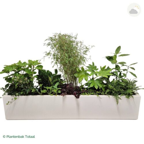 productfoto van plantenbak Polyester Carrez Langwerpig Set Amazone