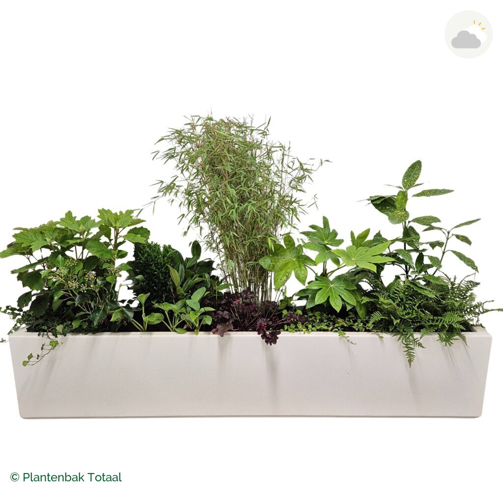productfoto van plantenbak Polyester Carrez Langwerpig Set Amazone