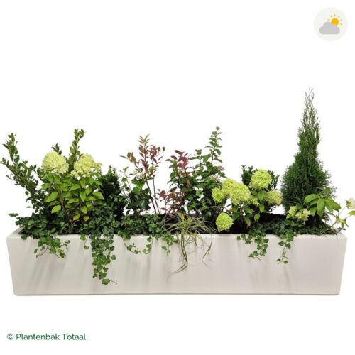 productfoto van plantenbak Polyester Carrez Langwerpig Set Ardennen