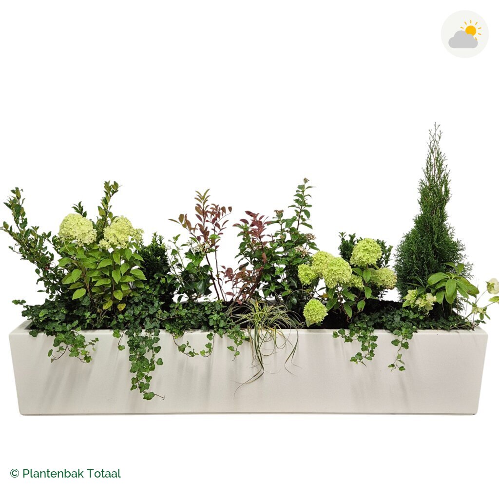 productfoto van plantenbak Polyester Carrez Langwerpig Set Ardennen